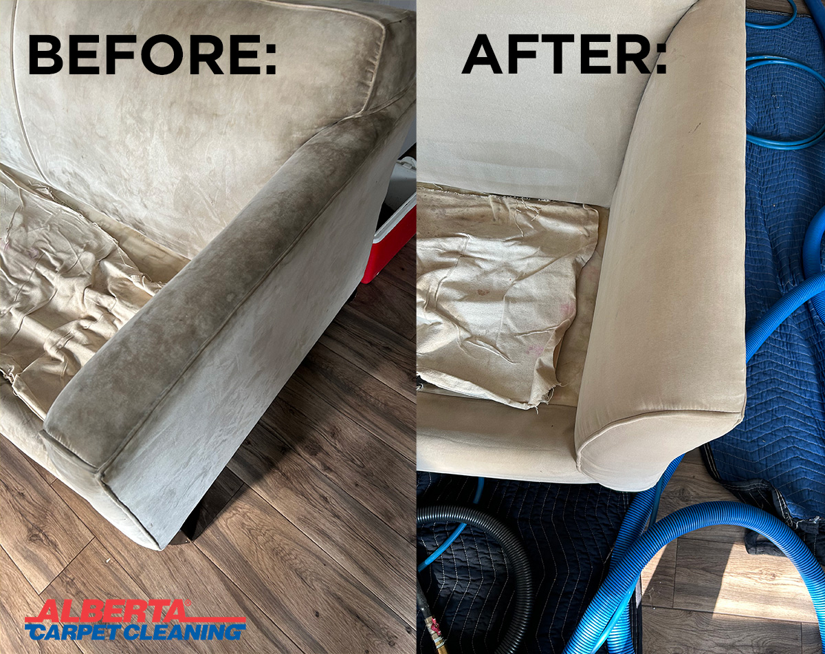Upholstery Cleaning Photos  Before & After Cleaning Photos